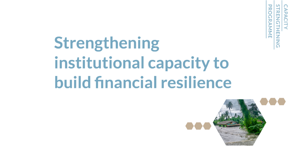 Slide from a deck introducing the Capacity Strengthening programme